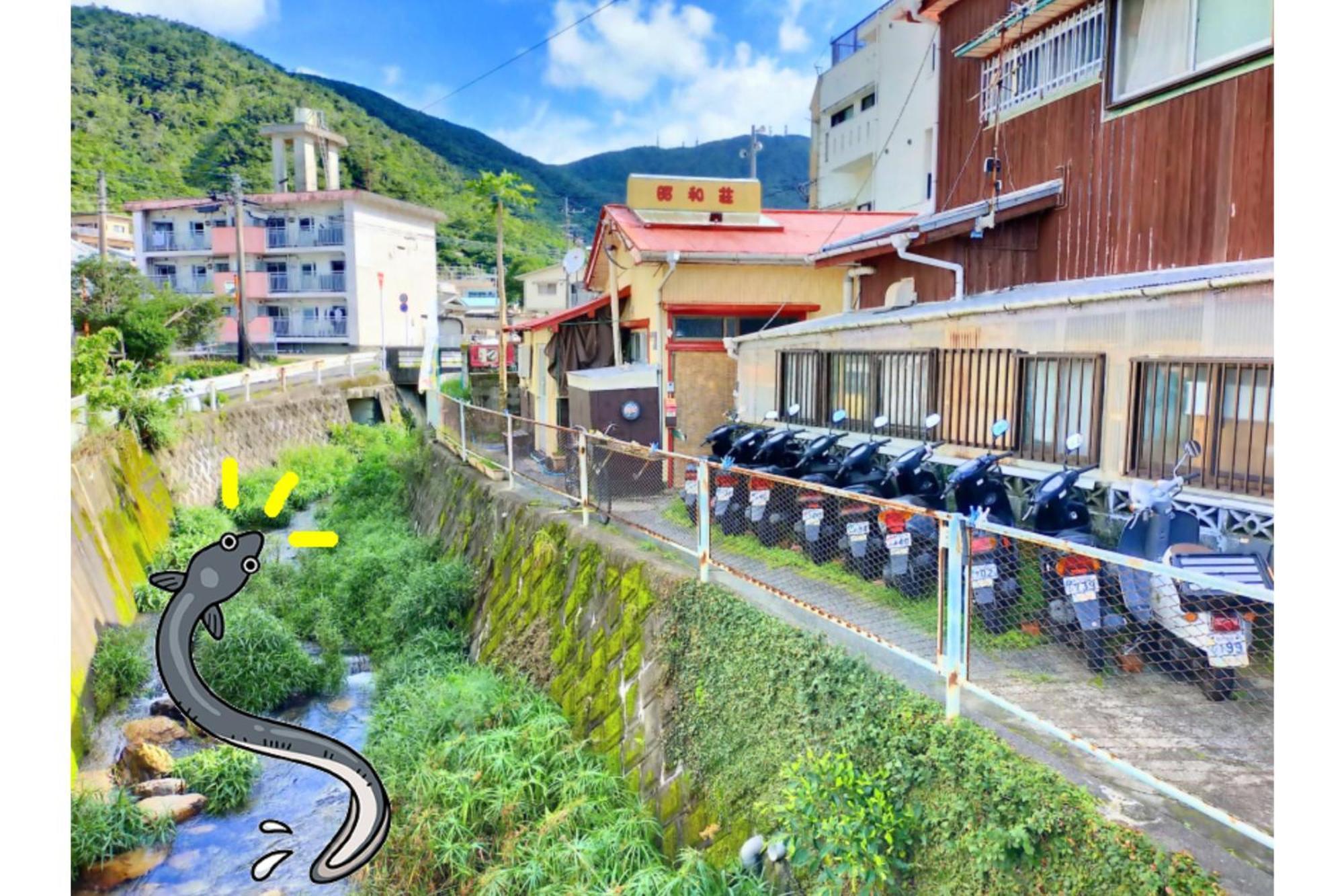 Amami Guest House Showa-So Setouchi  Exterior foto